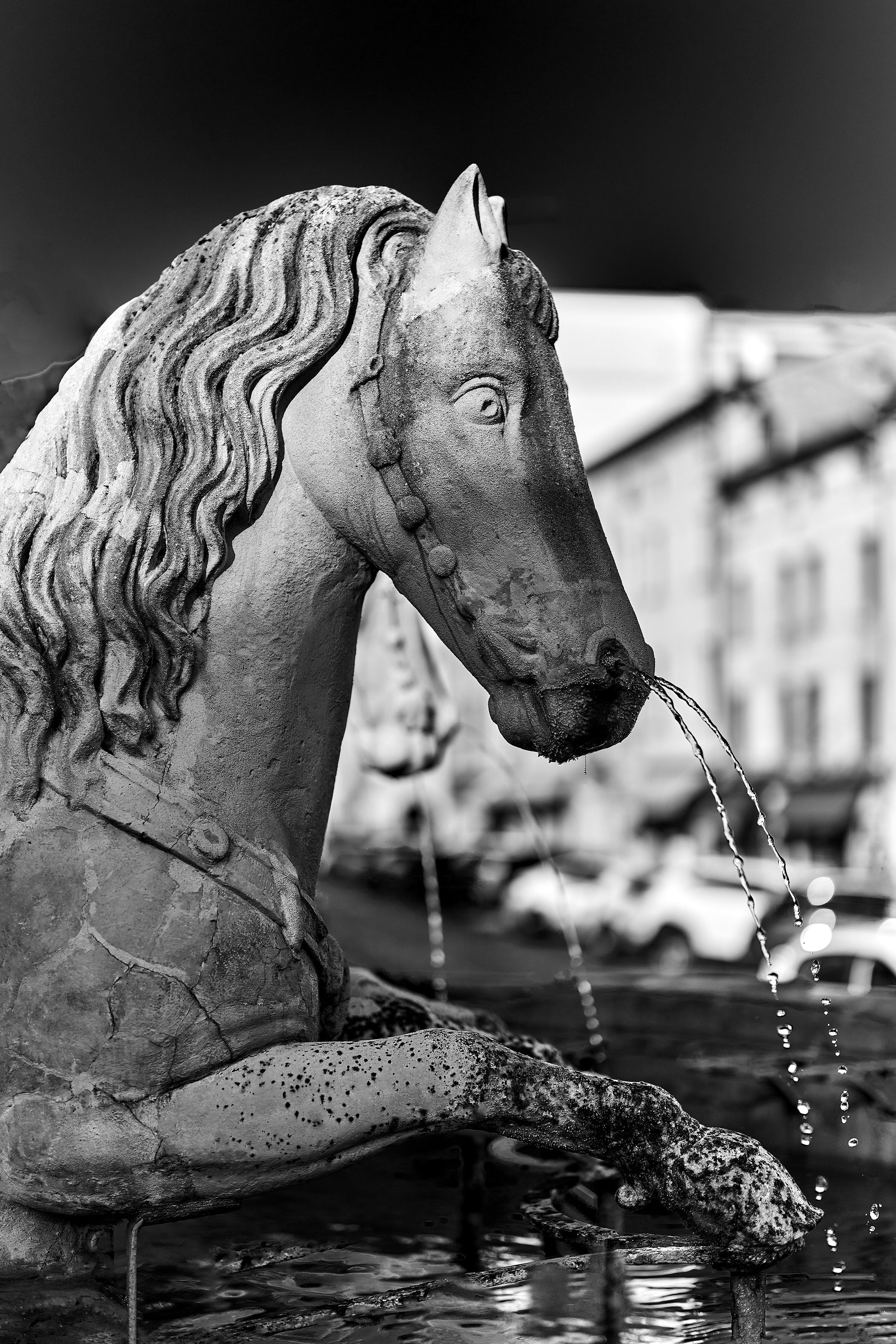 6_DSC07356 – BLACK & WHITE VISIONS