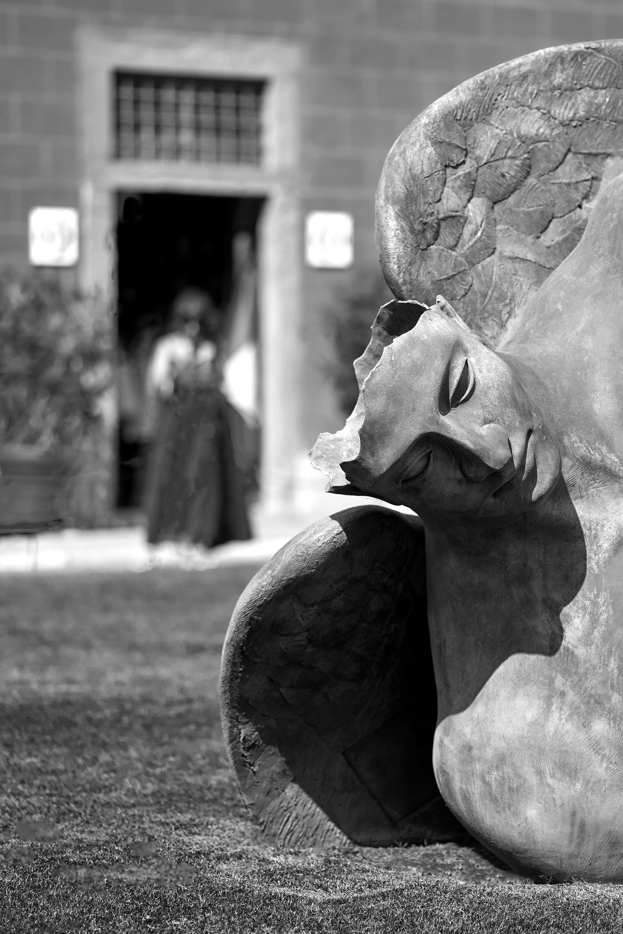 6_DSC07962 – BLACK & WHITE VISIONS