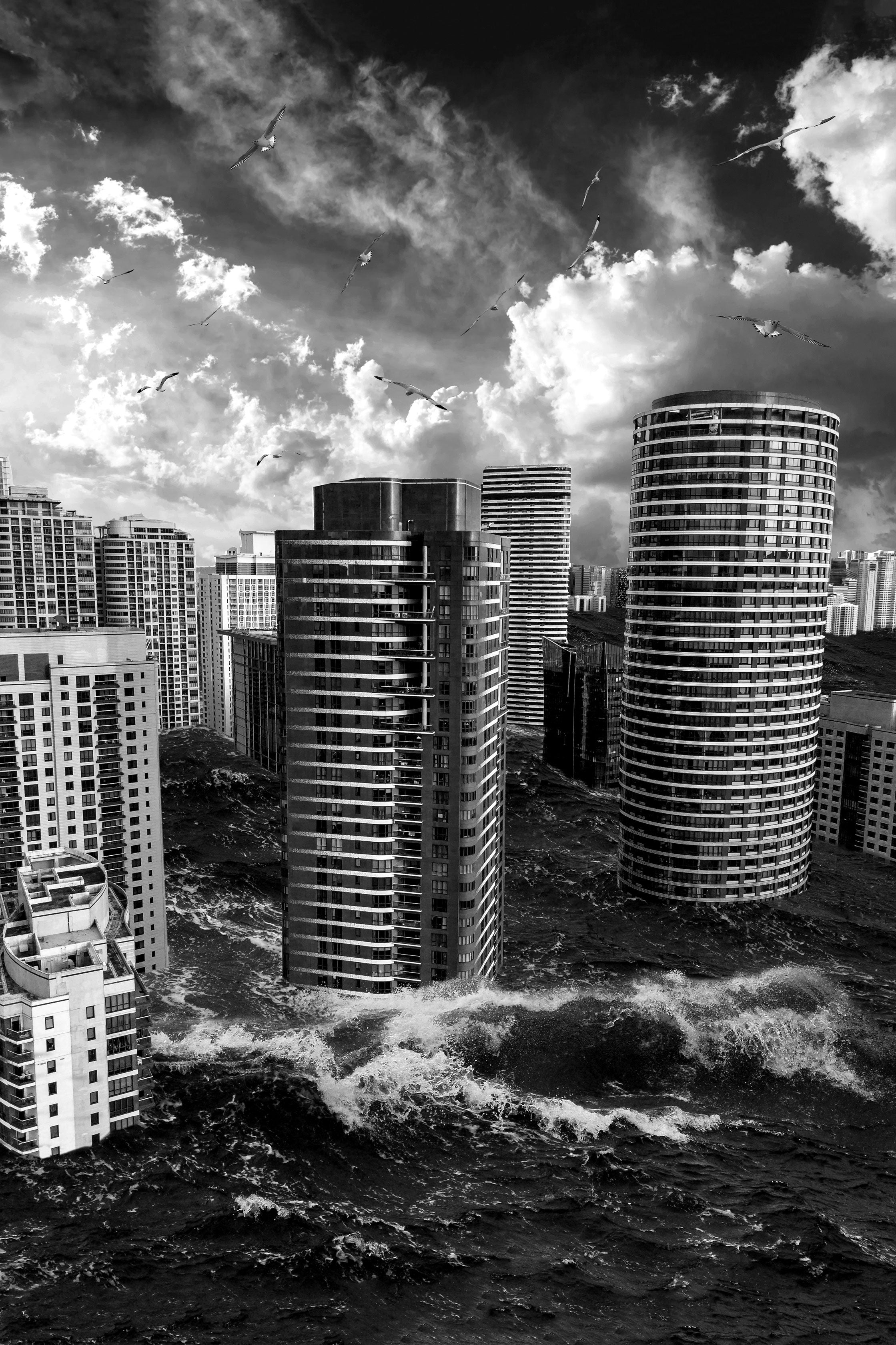 6_DSC09639-2B – BLACK & WHITE VISIONS