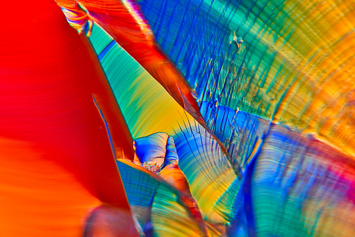 1_DSC02079 – MICRO UNIVERS