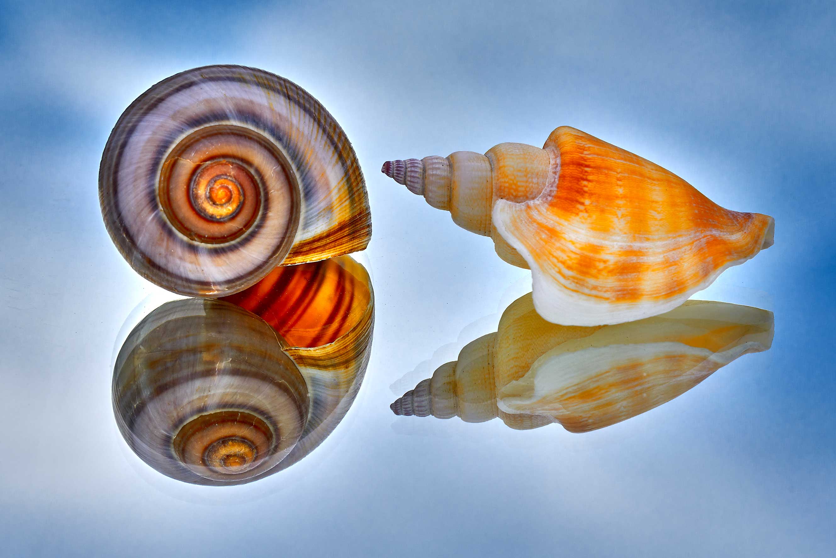4_DSC05498 – MICRO UNIVERS