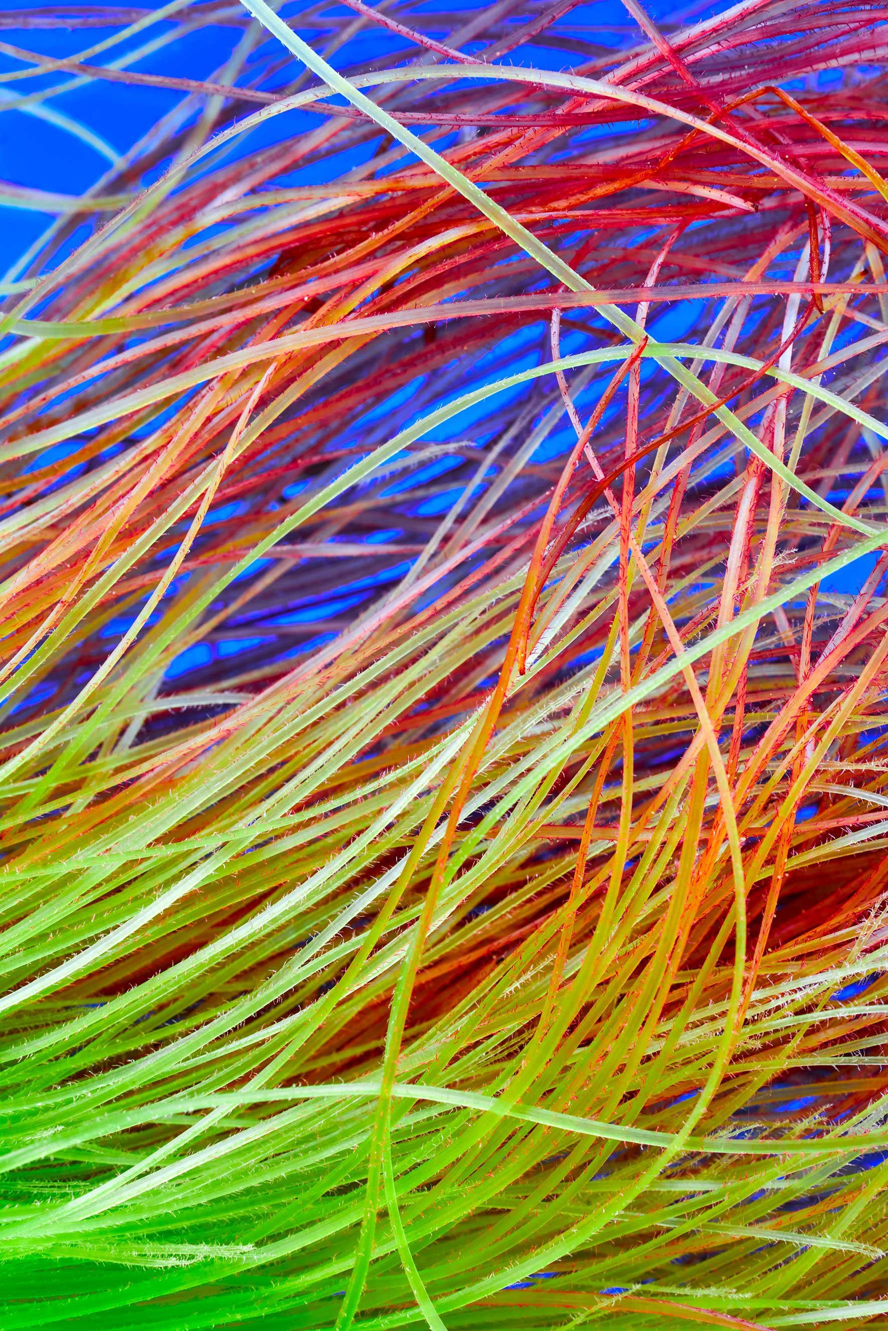 4_DSC06569 – MICRO UNIVERS