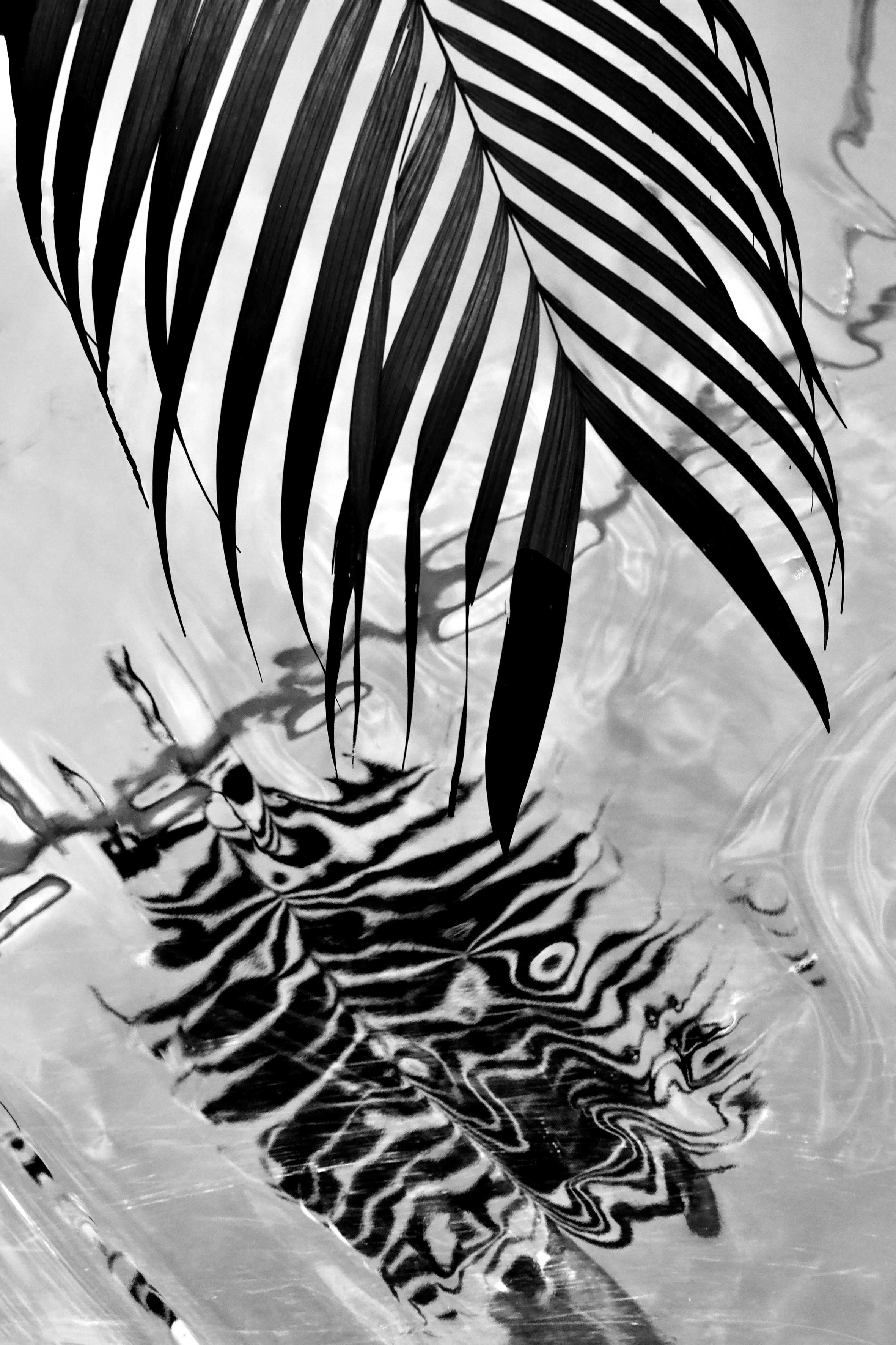 6_PH5A0624 – BLACK & WHITE VISIONS