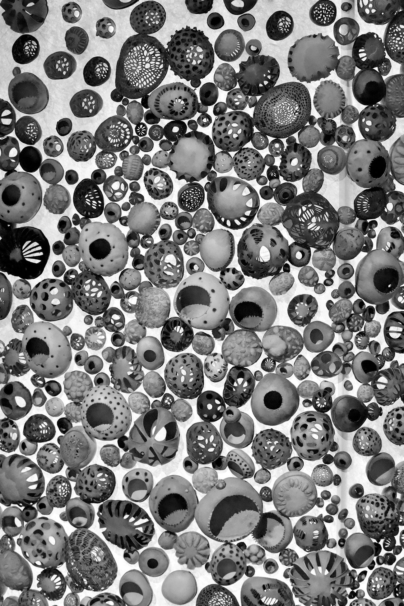 6_PH5A0696 – BLACK & WHITE VISIONS