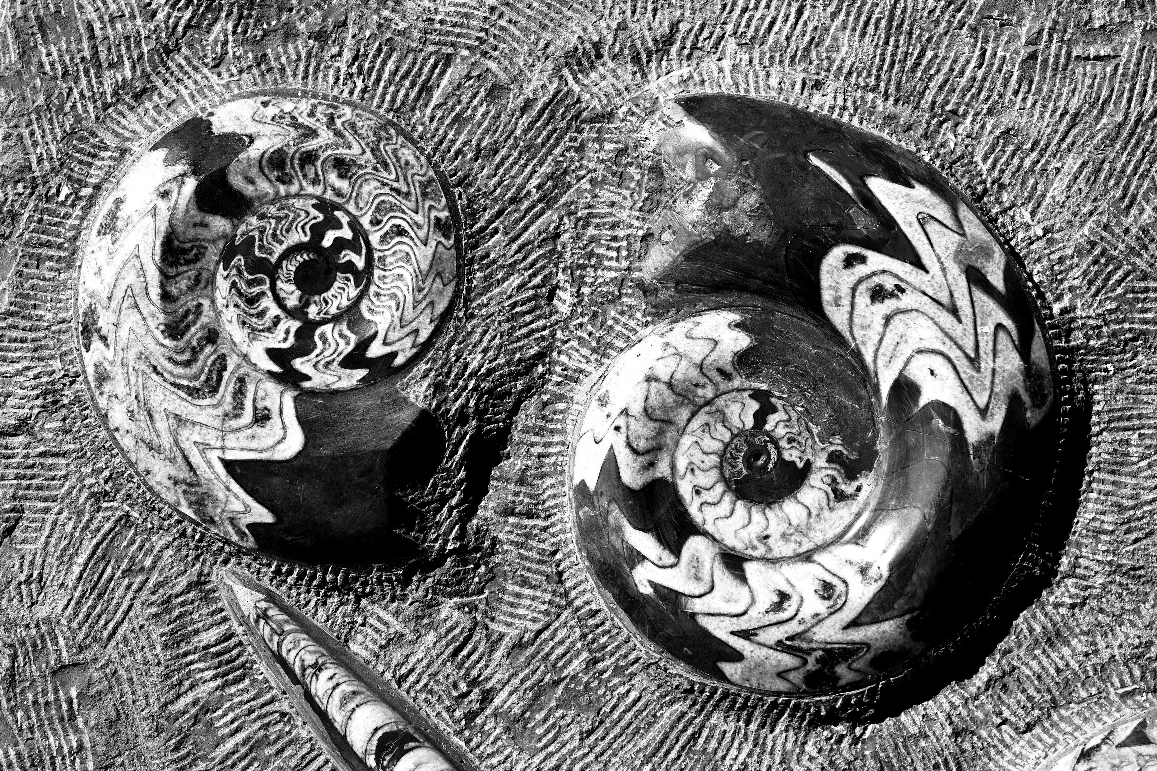 6_PH5A1169 – BLACK & WHITE VISIONS
