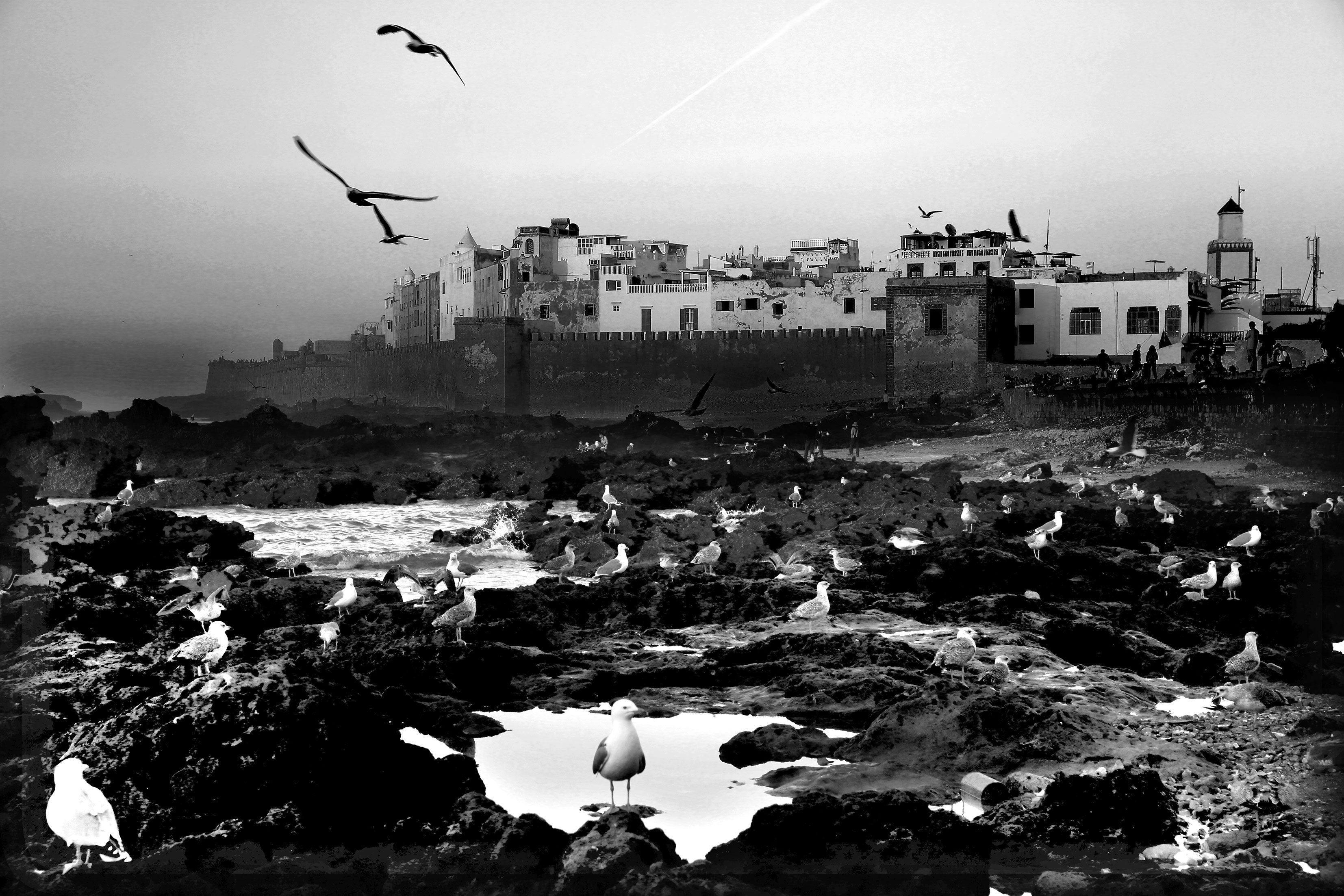 6_PH5A2346 – BLACK & WHITE VISIONS