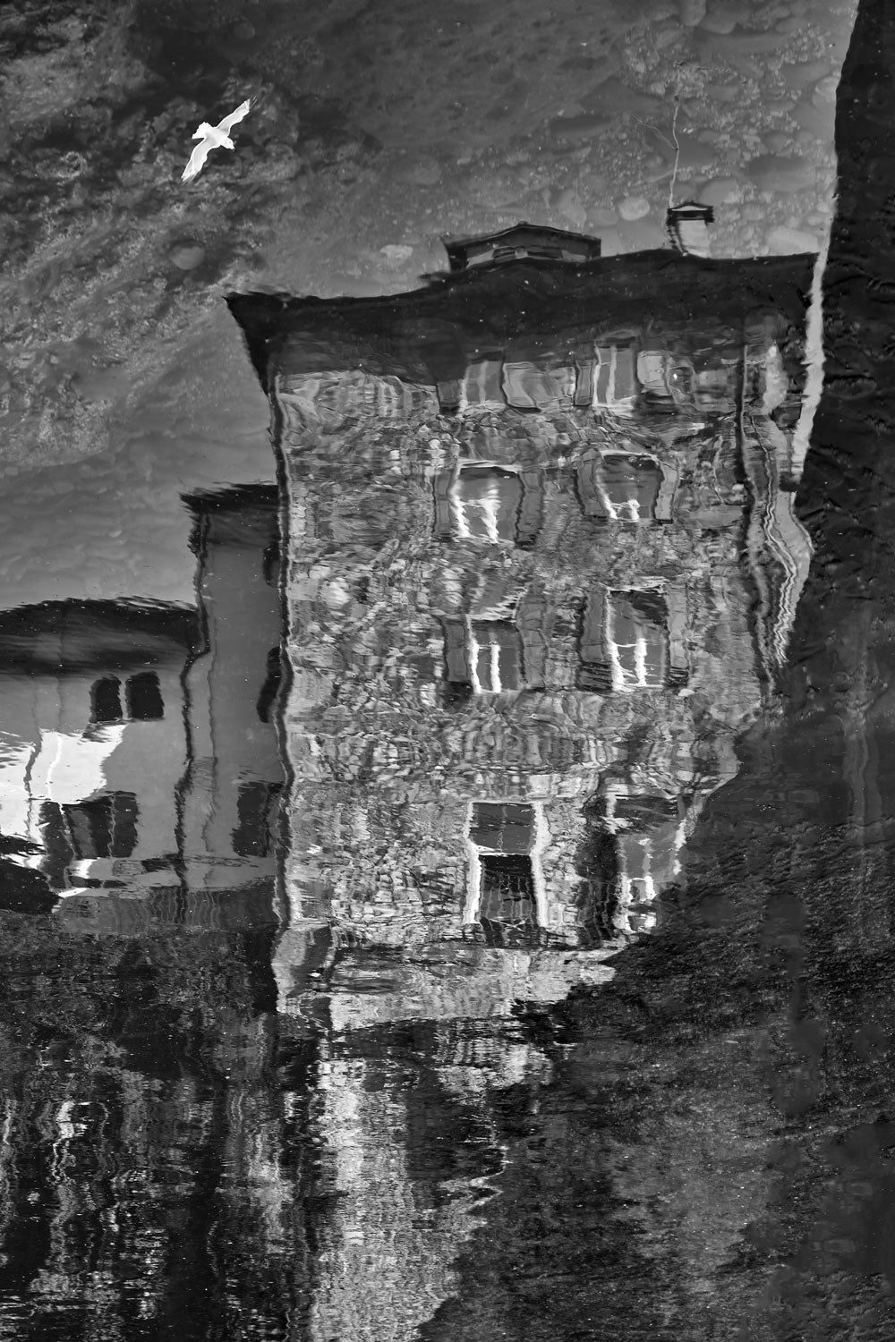 DSC06204 – BLACK & WHITE VISIONS