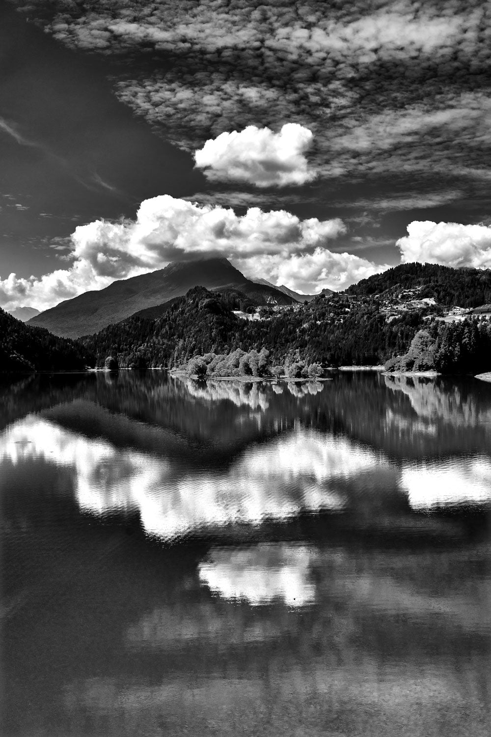 DSC09144 – BLACK & WHITE VISIONS